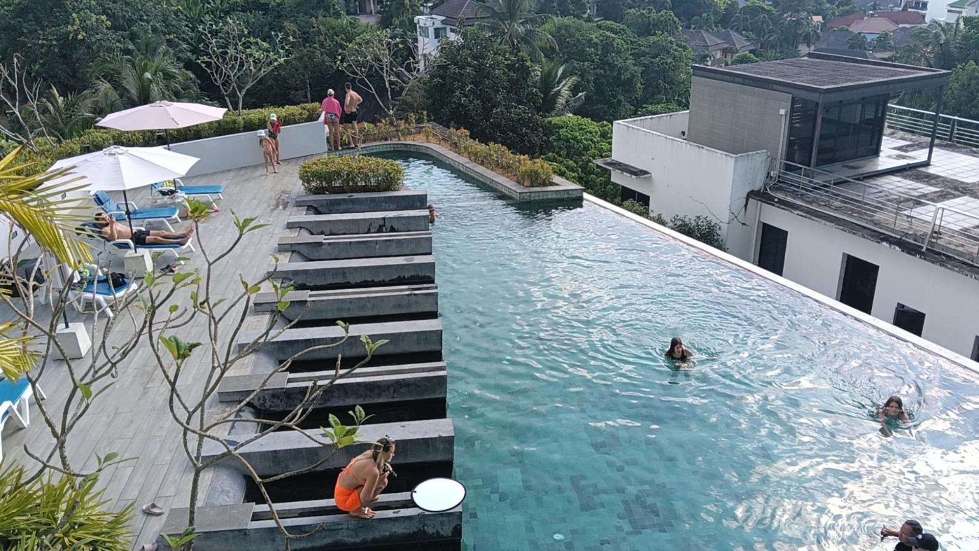 Veloche Karon Palm *